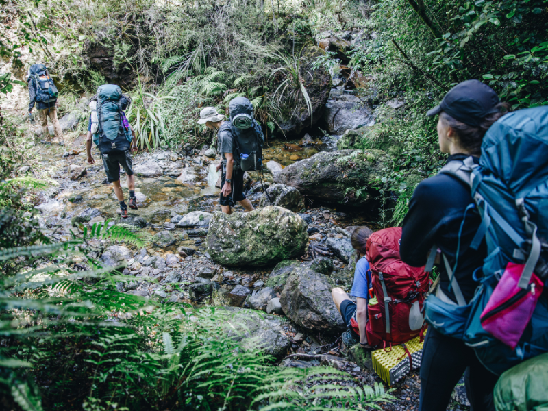 New Zealand & Australia Gap Semester | Pacific Discovery