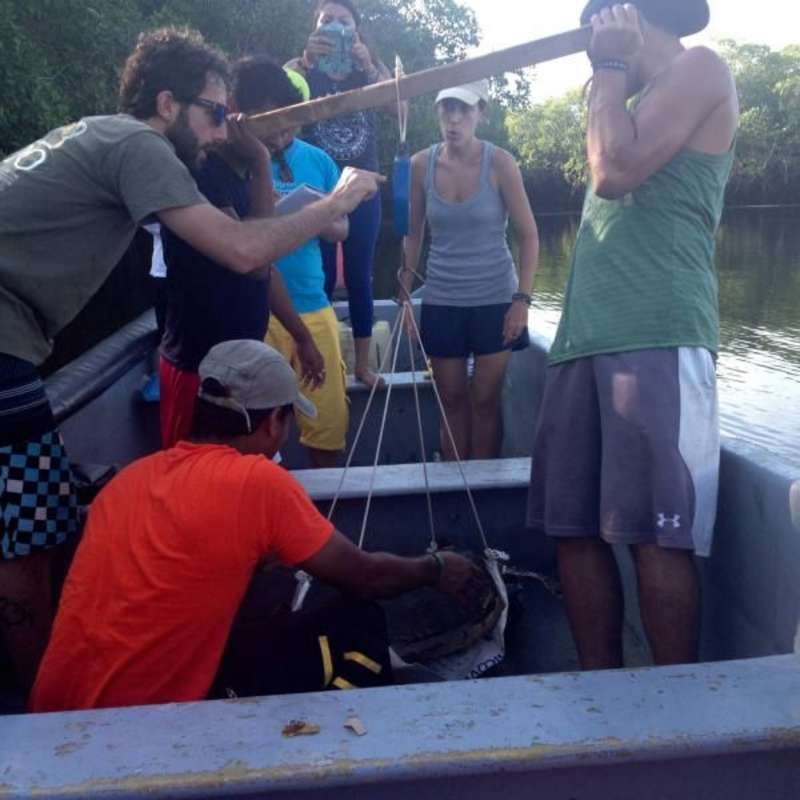 Sea turtle conservation in Nicaragua