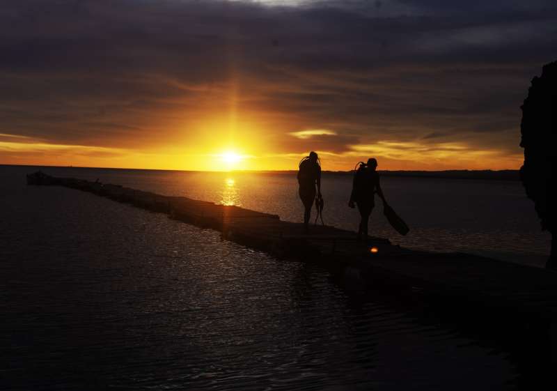 Nightdivers