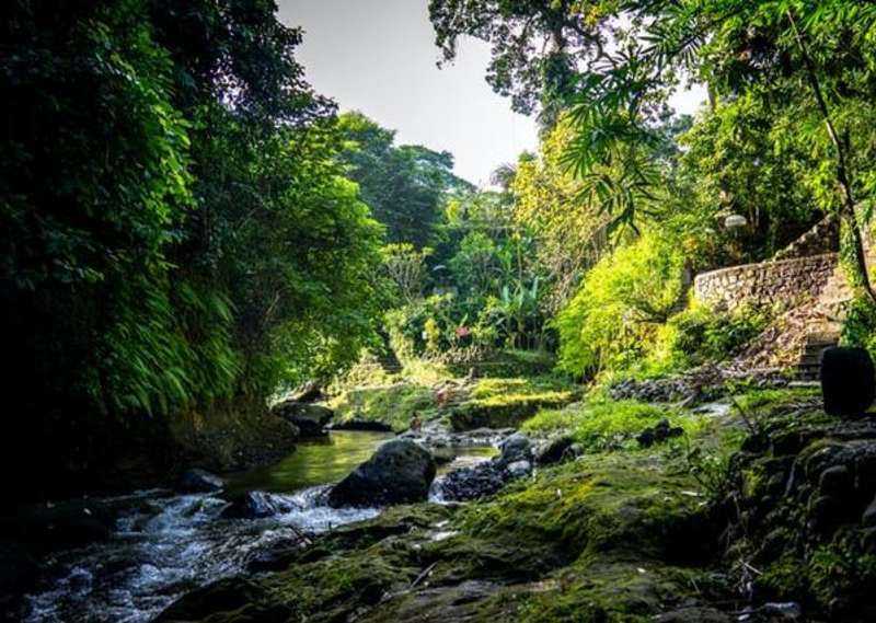 Ubud in Bali