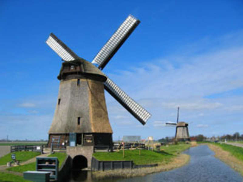 Study abroad in Hague, Netherlands 