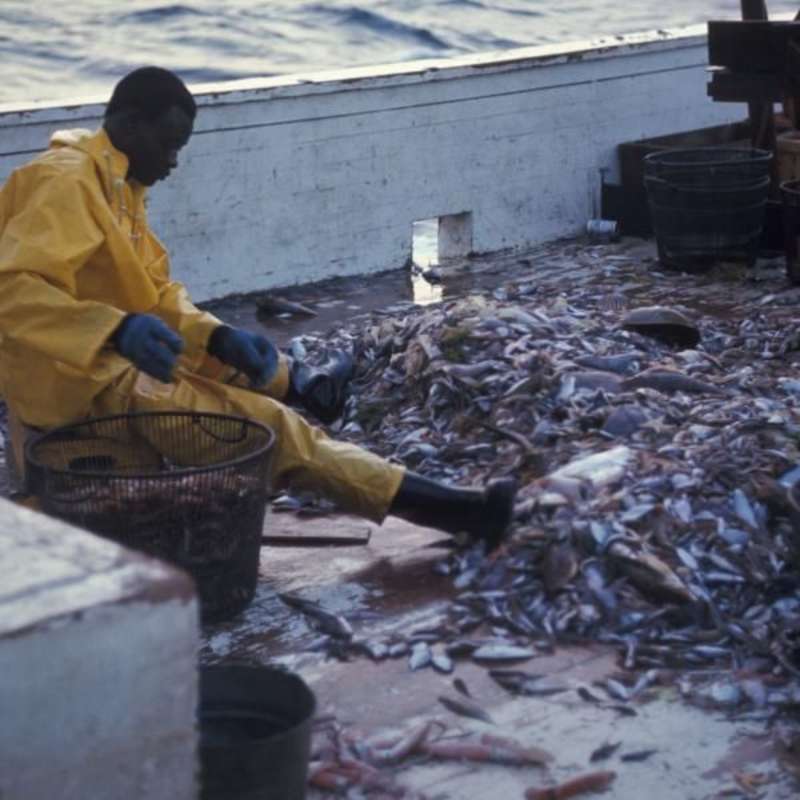 Aquaculture