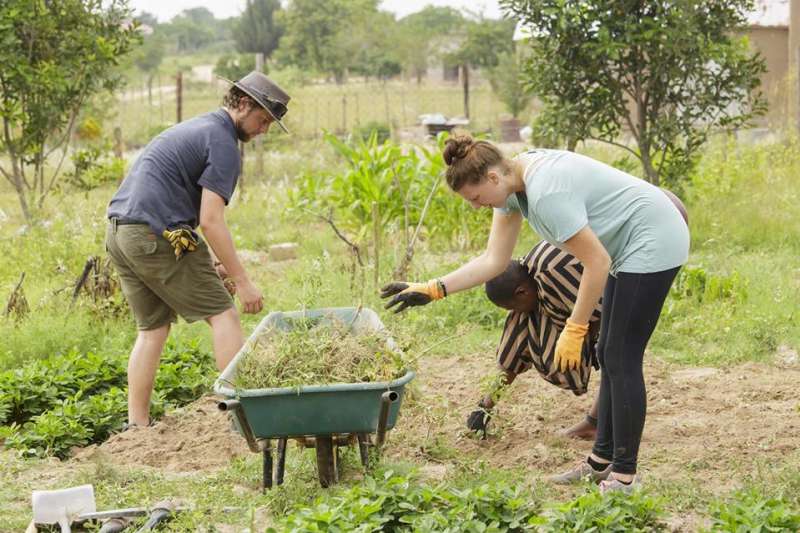 Nonprofit Management Internship at Social Nonprofit1