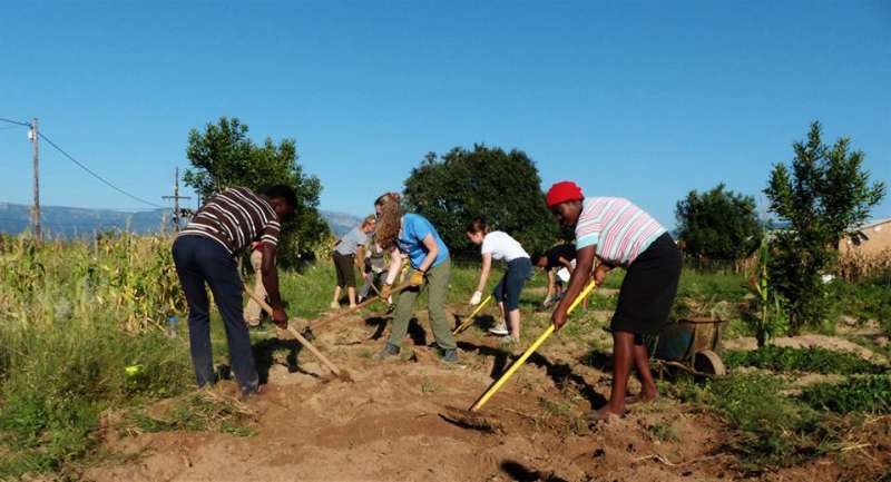Nonprofit Management Internship at Social Nonprofit2