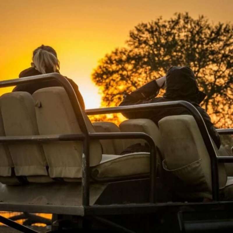 GoEco - 50+ VolunTour - Big 5 Conservation & Kruger Safari