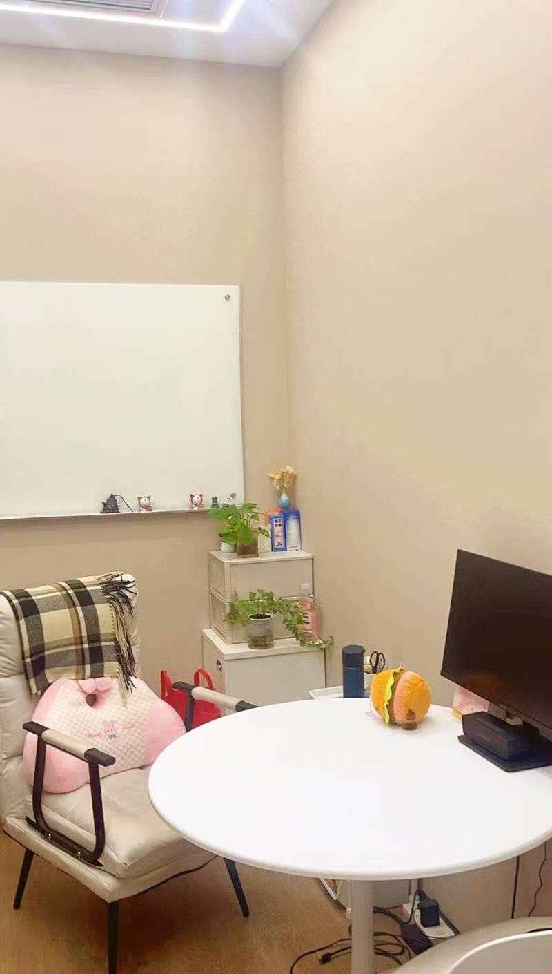 Online Chinese class with Schönberg Education 