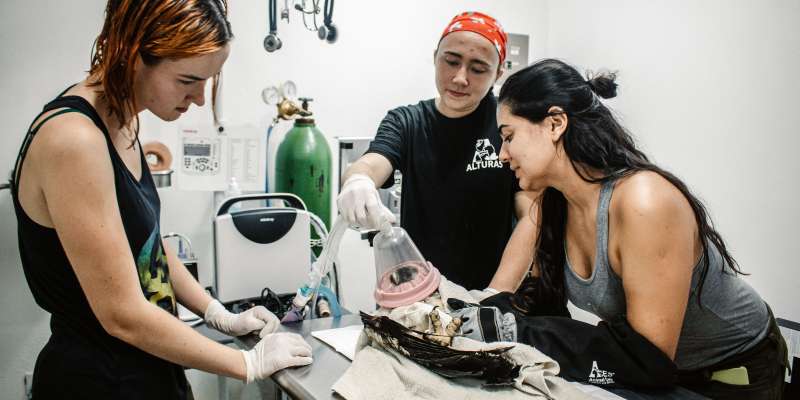 Orphan Care Internship in Costa Rica