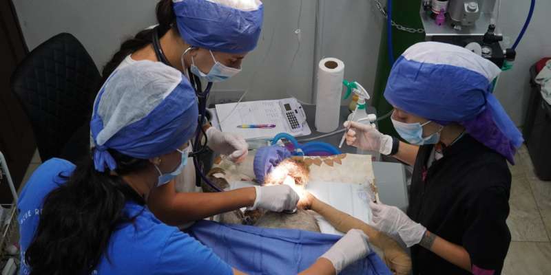 Orphan Care Internship in Costa Rica
