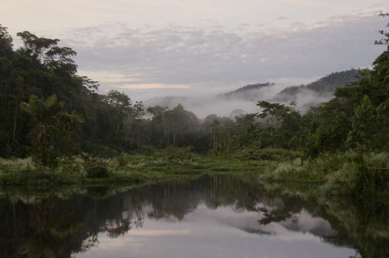 Oxbow lake