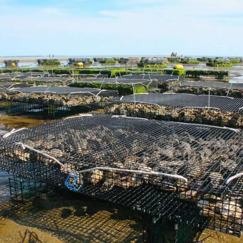 Aquaculture