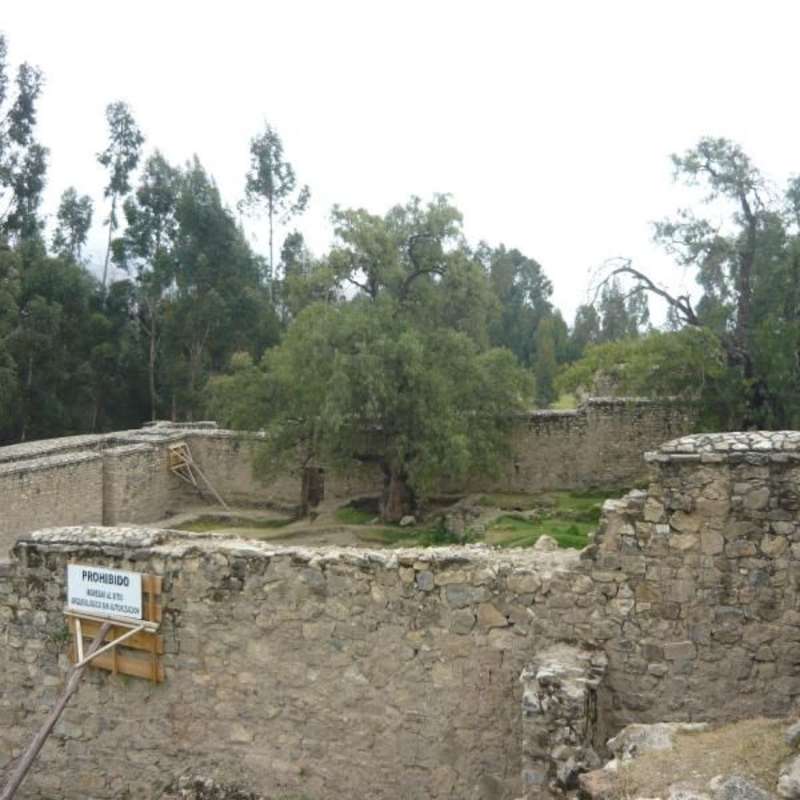 Volunteer in Archeology
