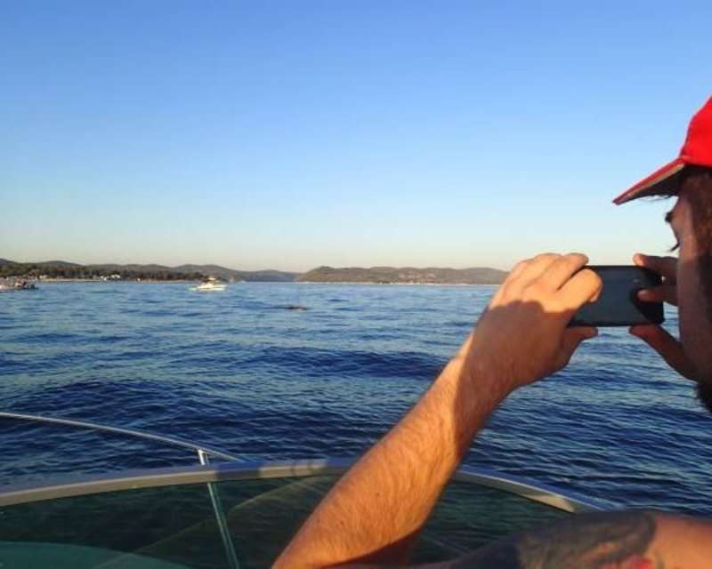 GoEco Croatia - Bottlenose Dolphin Conservation