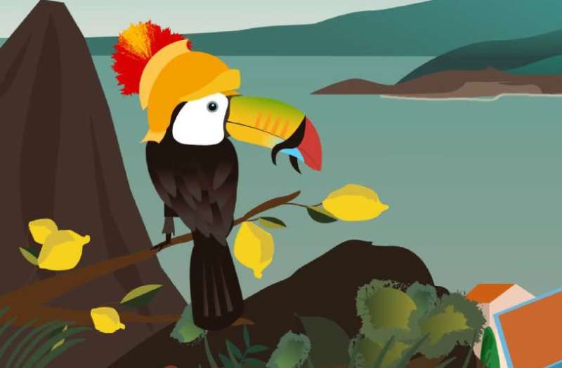 Parrota 
