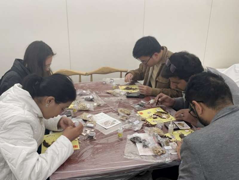 Participants in activity
