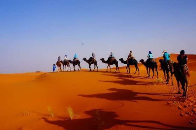 people on camels
