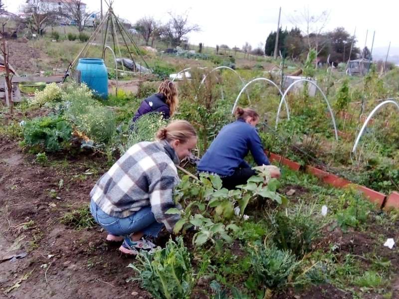 permaculture
