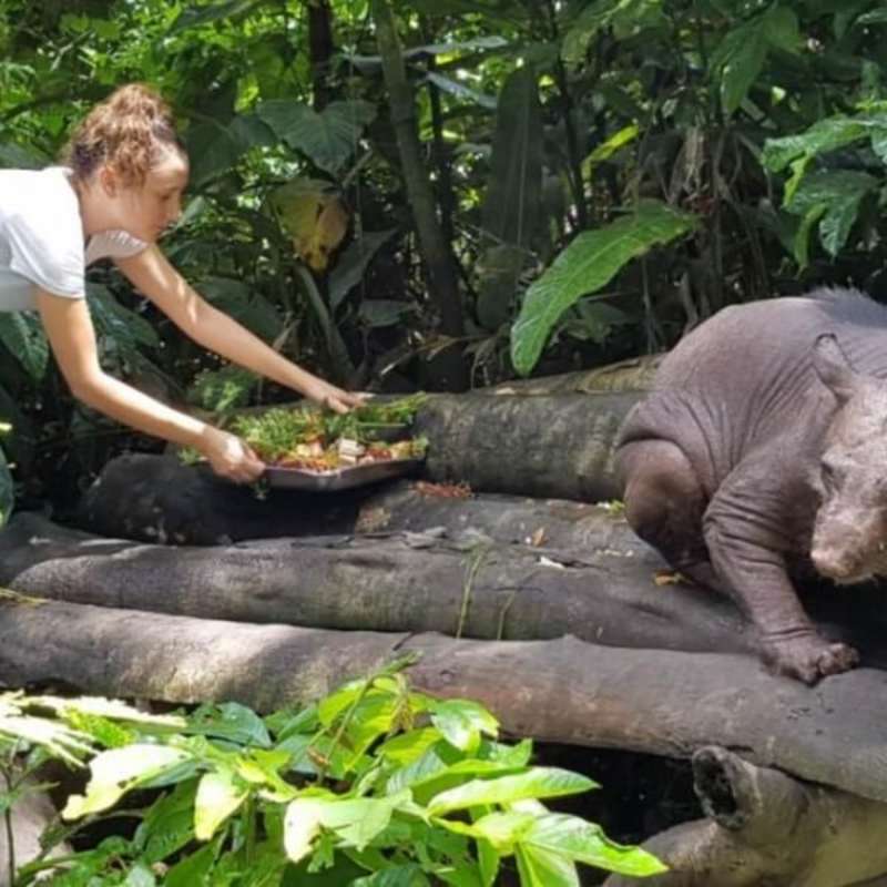 GoEco - Amazon Conservation and Machu Picchu Expedition