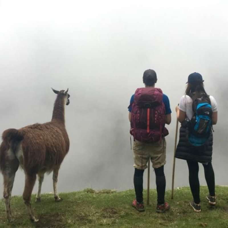 GoEco - Teaching English in Cuzco and 4-Day Machu Picchu Trek