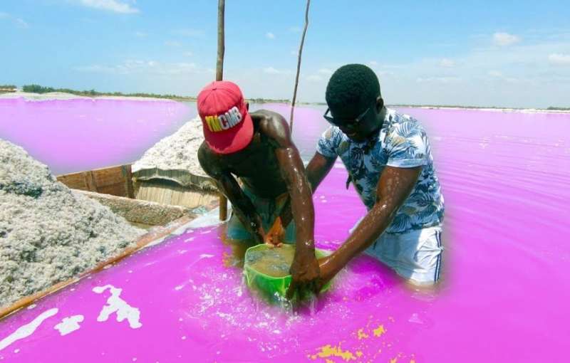 Pink Lake