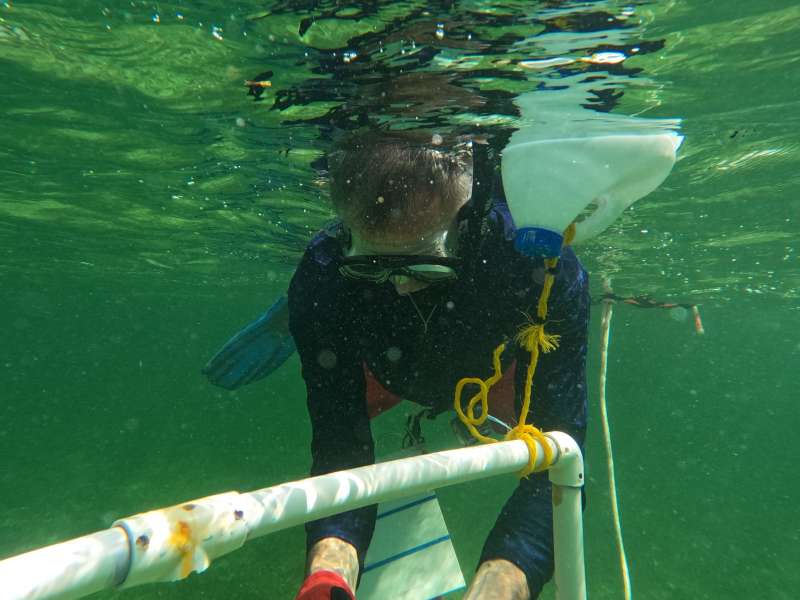 Practicing attaching corals on a frame