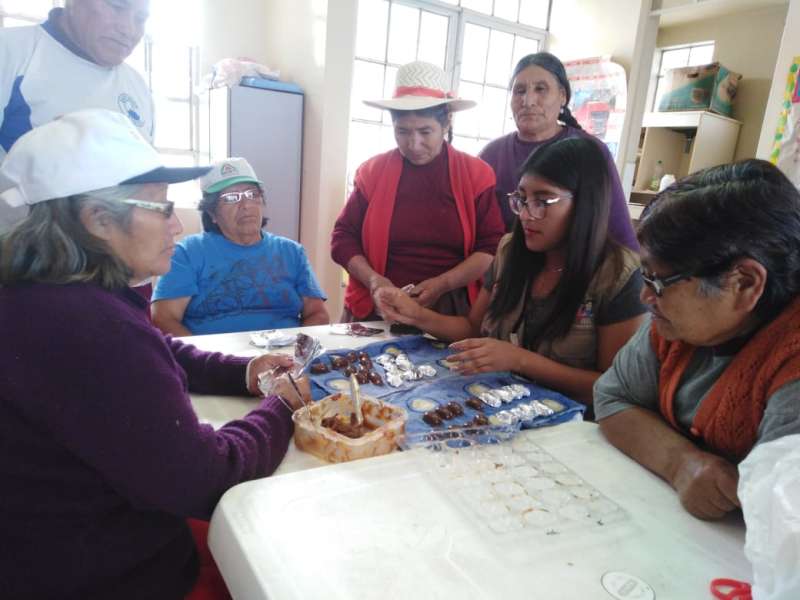 Psychology Internship with Community Development NGO in Peru
