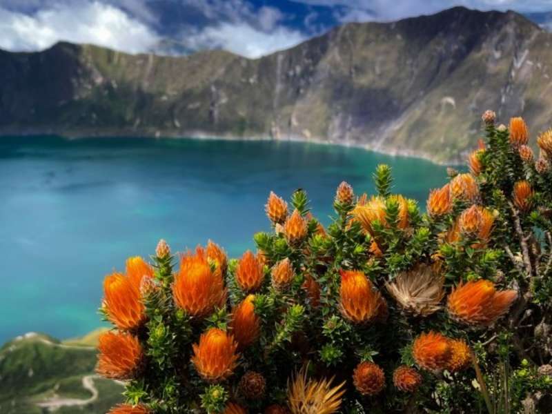 quilotoa-crater-lake-andean-flowers-ecuador