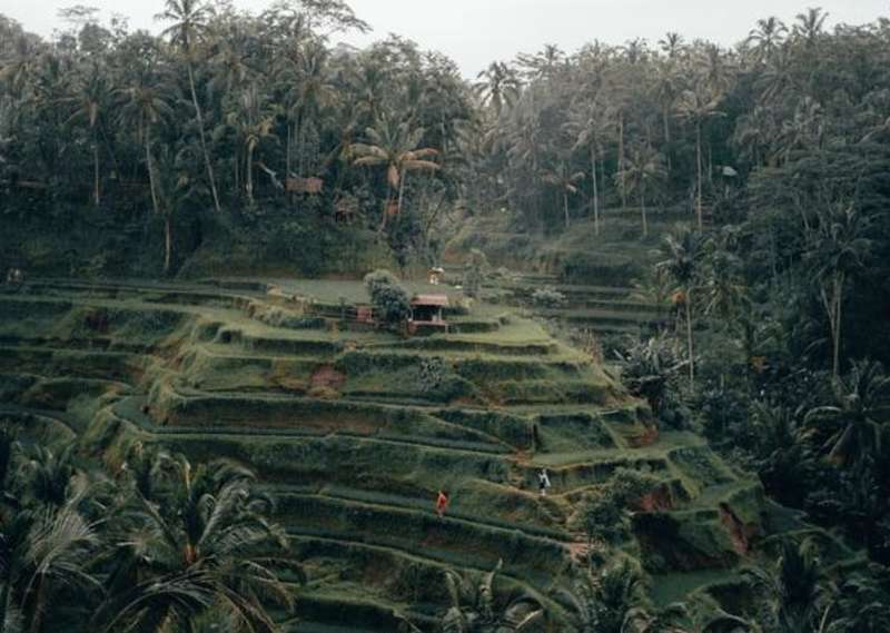 Ubud in Bali
