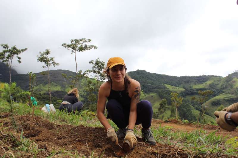 Rainforest Conservation Research Intern in Brazil
