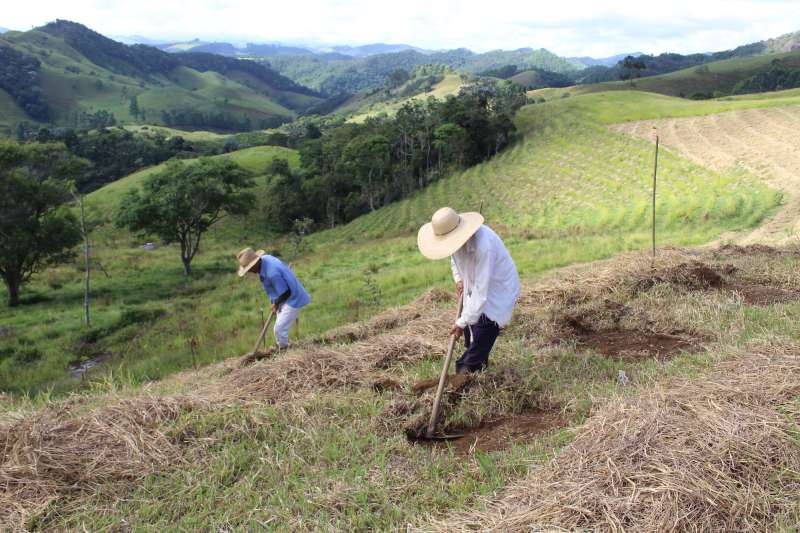 Rainforest Conservation Research Internship in Brazil