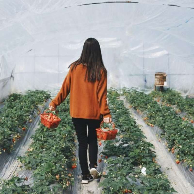 Botanical Garden Internship