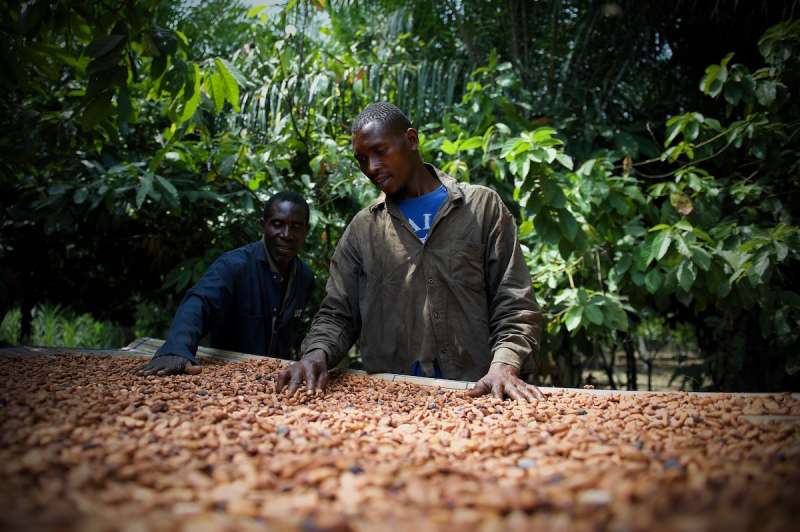 Remote Communications Internship in Agroforestry1