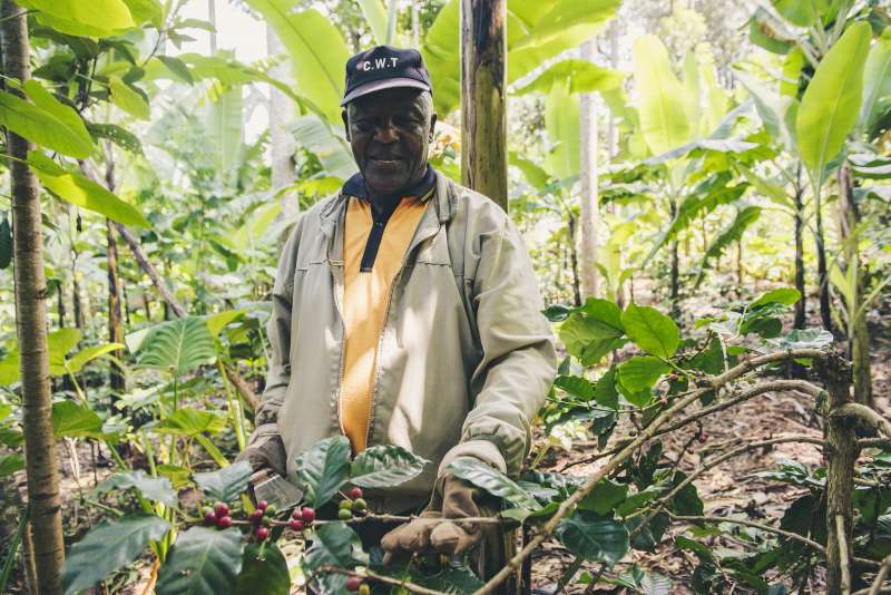 Remote Communications Internship in Agroforestry5