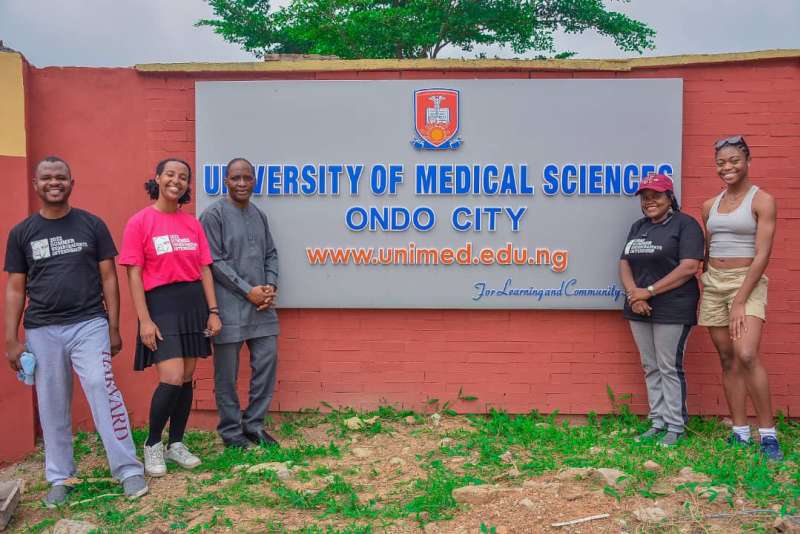 Remote Public Health Internship