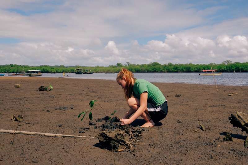 Research and Nature Conservation Intern in Brazil