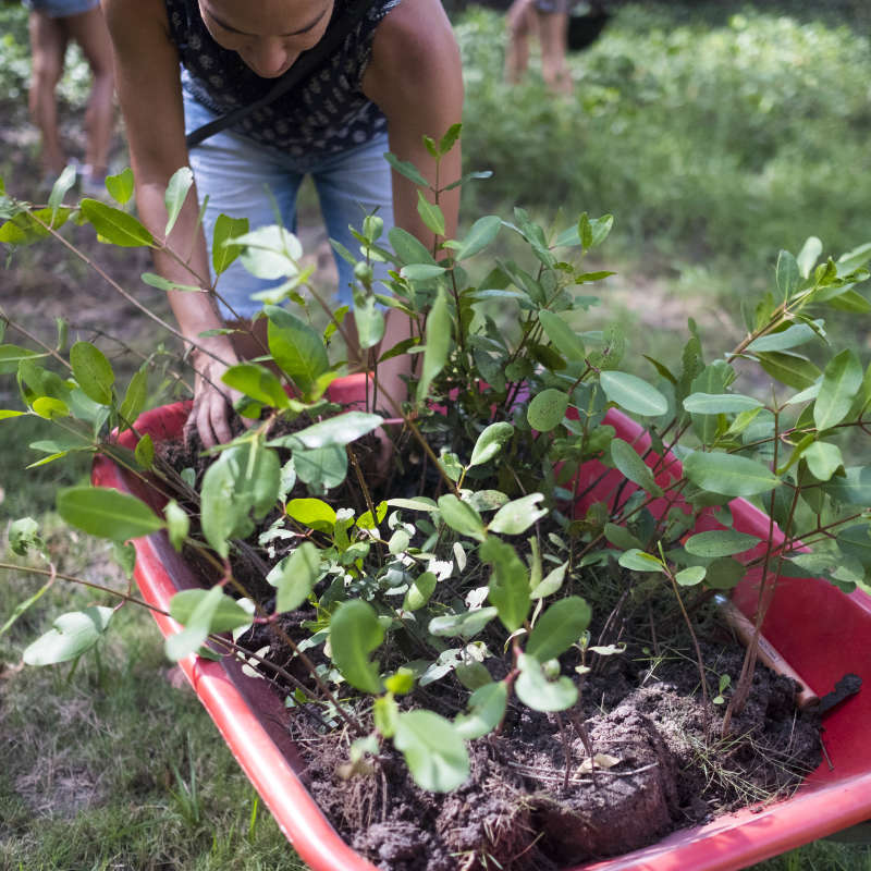 Research and Nature Conservation Internship in Brazil