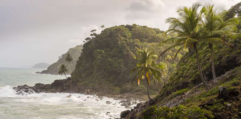Research and Nature Conservation Internship in Brazil