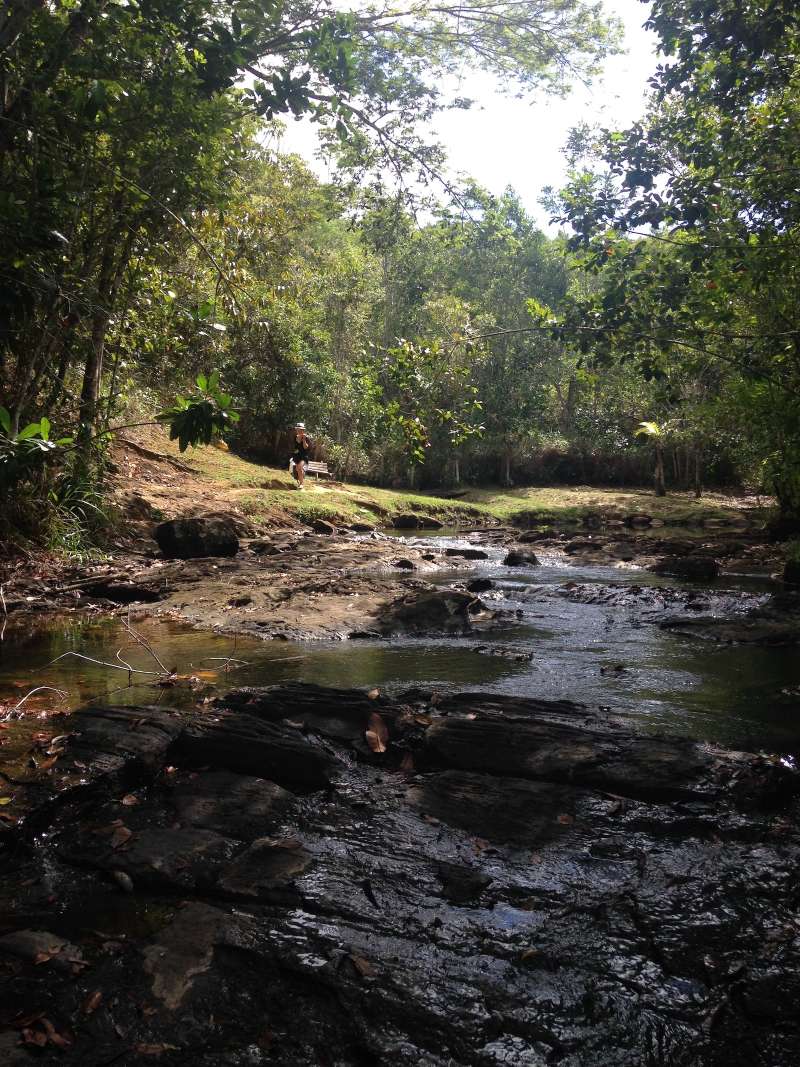 Research and Nature Conservation Internship in Brazil