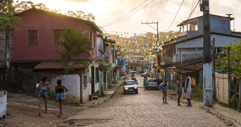 Research and Nature Conservation Internship in Brazil