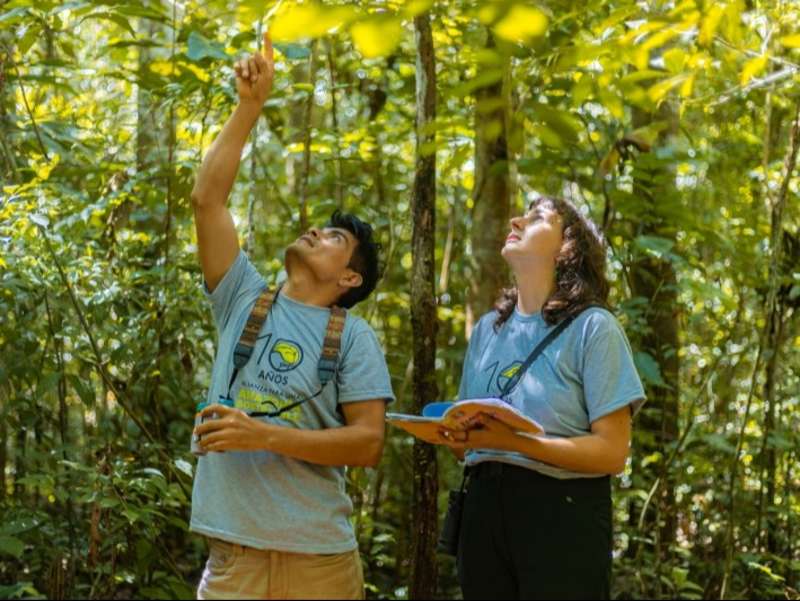 Research staff member guiding a volunteer during fieldwork in the Peruvian Amazon.