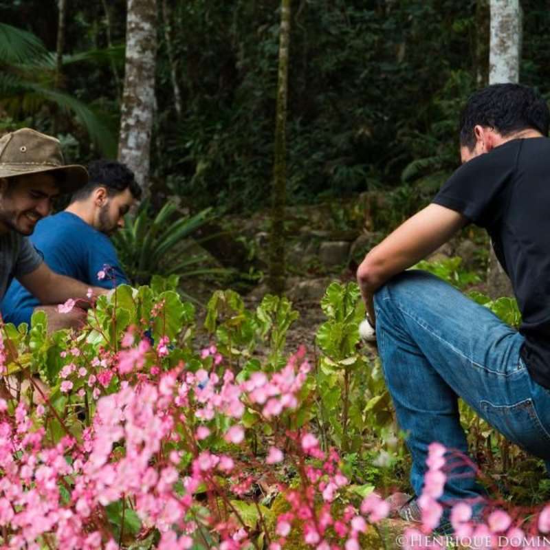 Volunteer in Enviromental Conservation