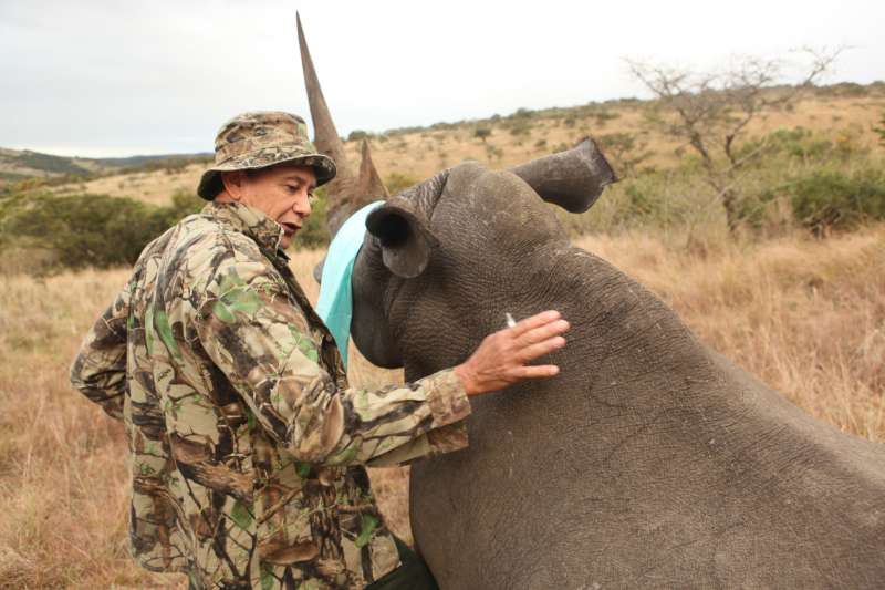 Volunteer and a rhino
