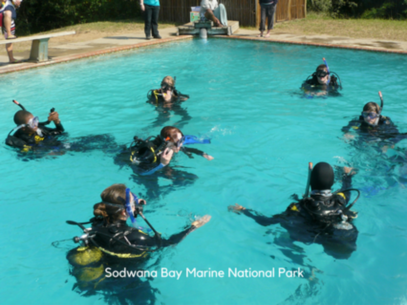 Internship students learn to dive