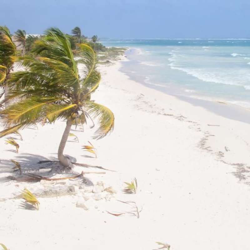 TEFL Playa del Carmen with ITTO