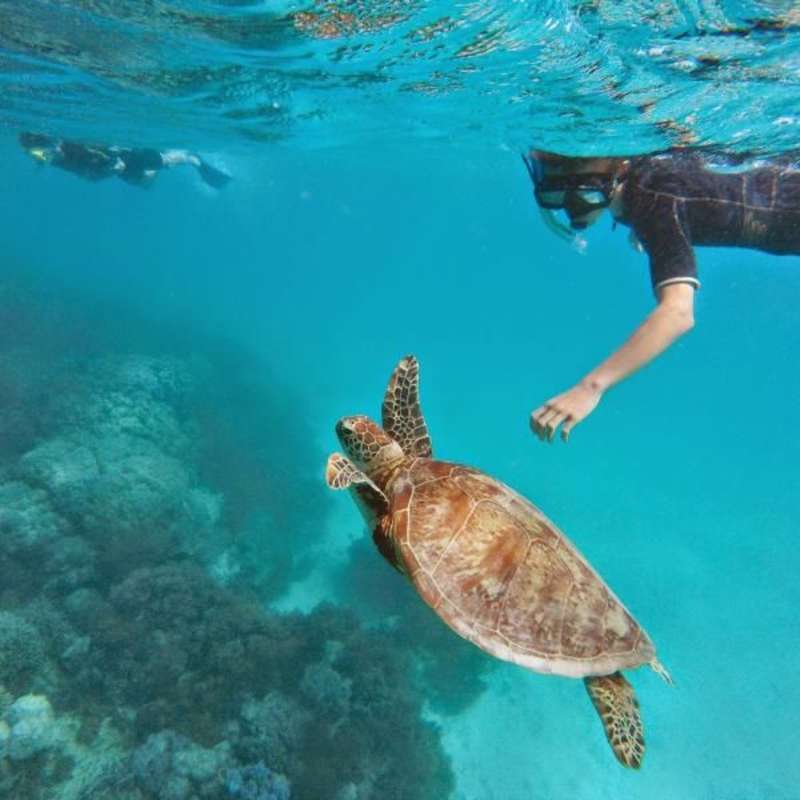 Snorkeling in South America