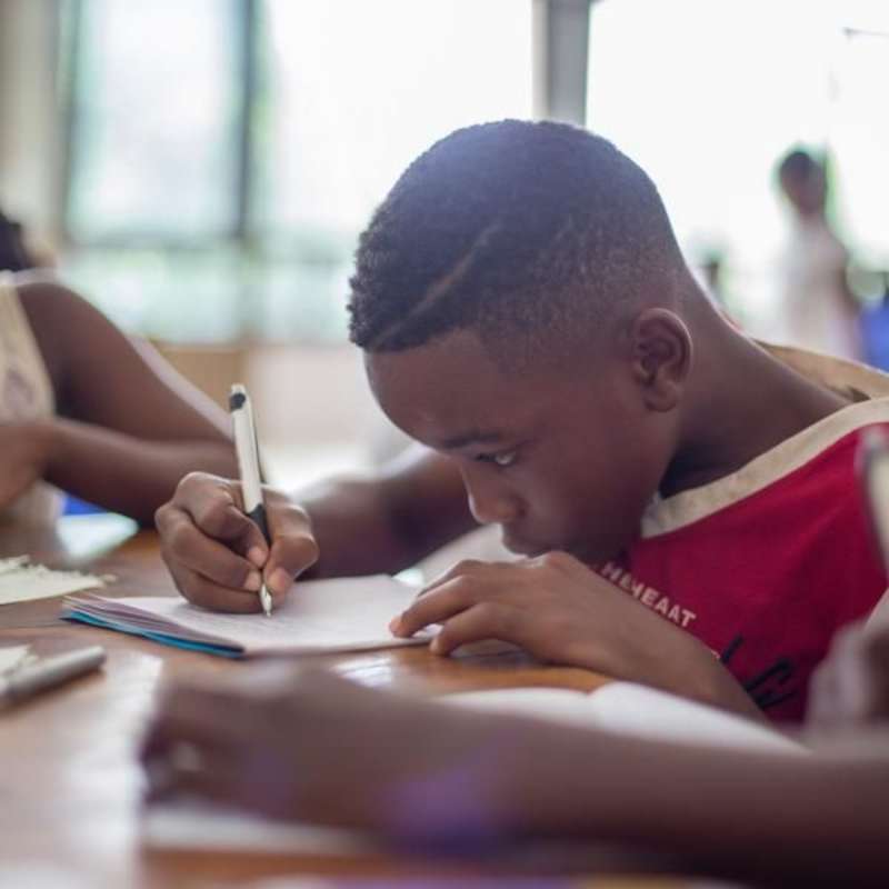 At-Risk Youth Mentor (Education/Social Services)