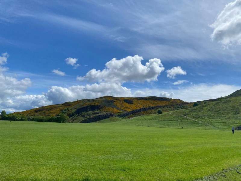 Scotland Fields