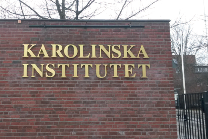 Study Medical Practice & Policy in Stockholm, Sweden