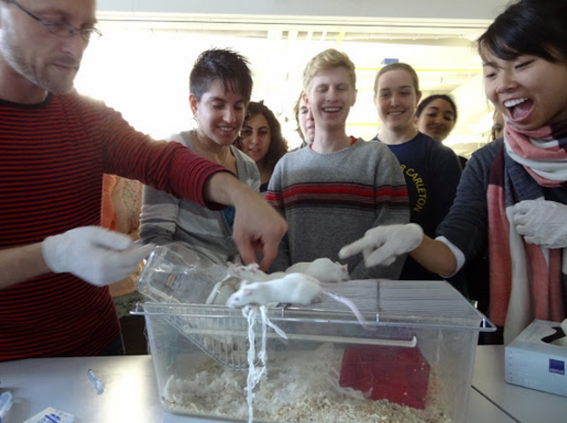 Study Neuroscience in Copenhagen