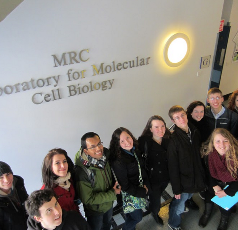 Study Biomedicine in Copenhagen