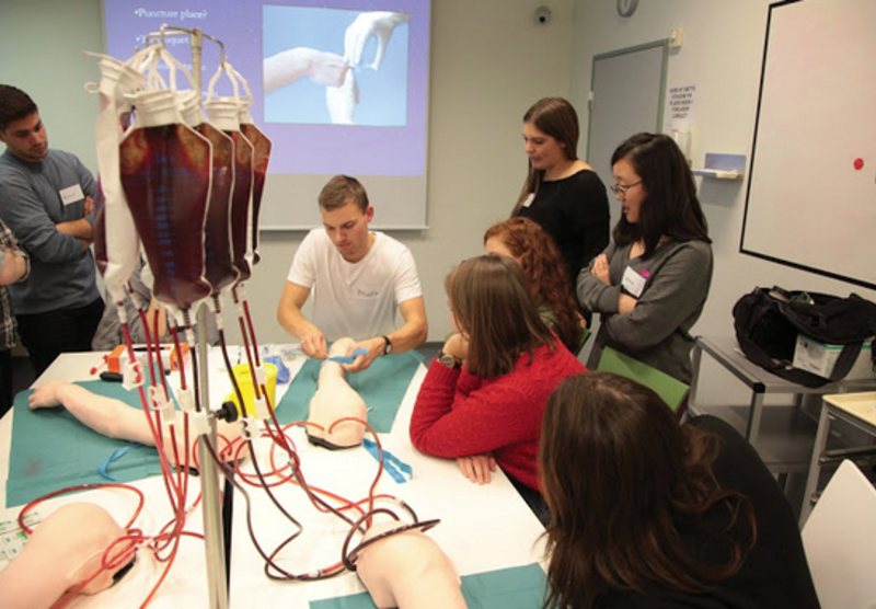 Study Medical Practice & Policy in Copenhagen, Denmark